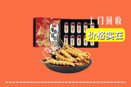 新蔡县回收冬虫夏草