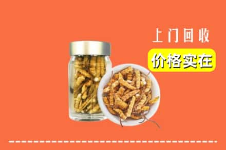 新蔡县回收散虫草