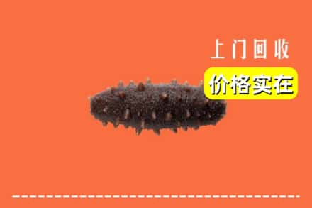 新蔡县回收海参