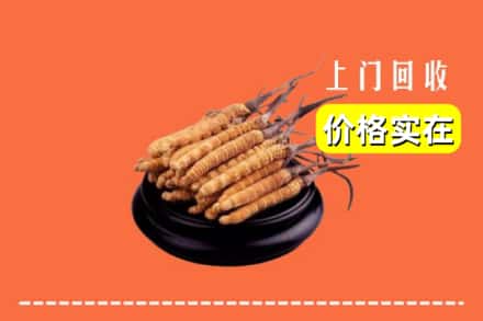 新蔡县回收冬虫夏草